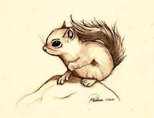 Фото пример рисунка тату белка 18,10,2021 - №0048 - squirrel tattoo - tattoo-photo.ru