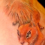Фото пример рисунка тату белка 18,10,2021 - №0073 - squirrel tattoo - tattoo-photo.ru