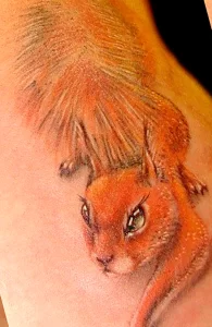 Фото пример рисунка тату белка 18,10,2021 - №0073 - squirrel tattoo - tattoo-photo.ru