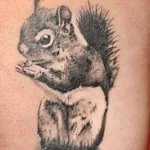 Фото пример рисунка тату белка 18,10,2021 - №0075 - squirrel tattoo - tattoo-photo.ru