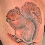 Фото пример рисунка тату белка 18,10,2021 - №0150 - squirrel tattoo - tattoo-photo.ru