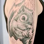 Фото пример рисунка тату белка 18,10,2021 - №0152 - squirrel tattoo - tattoo-photo.ru