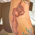 Фото пример рисунка тату белка 18,10,2021 - №0183 - squirrel tattoo - tattoo-photo.ru