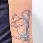 Фото пример рисунка тату белка 18,10,2021 - №0197 - squirrel tattoo - tattoo-photo.ru