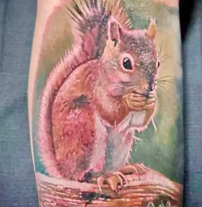 Фото пример рисунка тату белка 18,10,2021 - №0227 - squirrel tattoo - tattoo-photo.ru