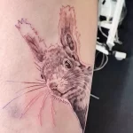 Фото пример рисунка тату белка 18,10,2021 - №0244 - squirrel tattoo - tattoo-photo.ru