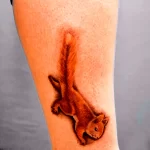 Фото пример рисунка тату белка 18,10,2021 - №0389 - squirrel tattoo - tattoo-photo.ru