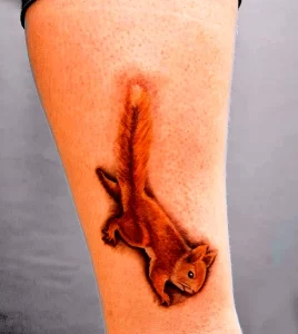 Фото пример рисунка тату белка 18,10,2021 - №0389 - squirrel tattoo - tattoo-photo.ru