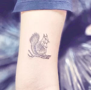 Фото пример рисунка тату белка 18,10,2021 - №0403 - squirrel tattoo - tattoo-photo.ru