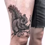 Фото пример рисунка тату белка 18,10,2021 - №0480 - squirrel tattoo - tattoo-photo.ru