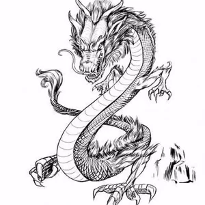 Эскизы тату дракон 28,10,2021 - №0054 - dragon tattoo sketch - tattoo-photo.ru