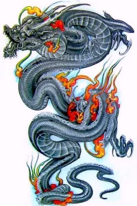 Эскизы тату дракон 28,10,2021 - №0075 - dragon tattoo sketch - tattoo-photo.ru