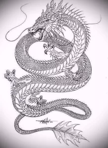 Эскизы тату дракон 28,10,2021 - №0203 - dragon tattoo sketch - tattoo-photo.ru