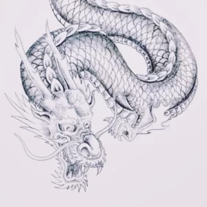 Эскизы тату дракон 28,10,2021 - №0463 - dragon tattoo sketch - tattoo-photo.ru