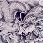 Эскизы тату дракон 28,10,2021 - №0516 - dragon tattoo sketch - tattoo-photo.ru