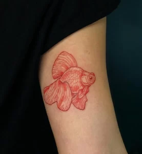 Фото тату золотая рыбка 07,12,2021 - №247 - goldfish tattoo - tattoo-photo.ru