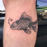 Фото тату золотая рыбка 07,12,2021 - №405 - goldfish tattoo - tattoo-photo.ru