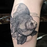 Фото тату золотая рыбка 07,12,2021 - №438 - goldfish tattoo - tattoo-photo.ru
