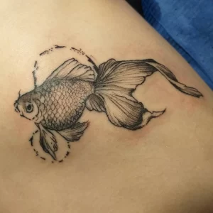 Фото тату золотая рыбка 07,12,2021 - №581 - goldfish tattoo - tattoo-photo.ru