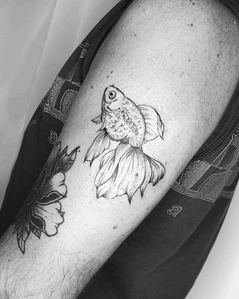 Фото тату золотая рыбка 07,12,2021 - №001 - goldfish tattoo - tattoo-photo.ru