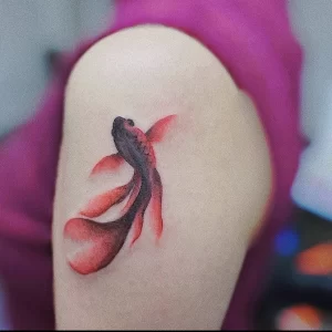 Фото тату золотая рыбка 07,12,2021 - №008 - goldfish tattoo - tattoo-photo.ru