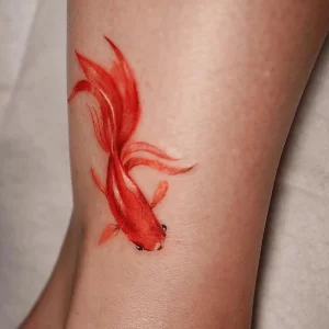 Фото тату золотая рыбка 07,12,2021 - №137 - goldfish tattoo - tattoo-photo.ru