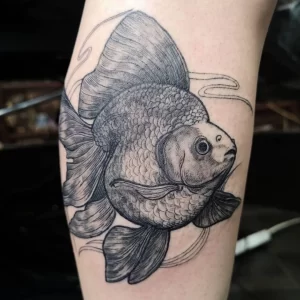 Фото тату золотая рыбка 07,12,2021 - №150 - goldfish tattoo - tattoo-photo.ru