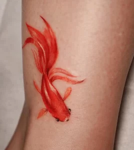 Фото тату золотая рыбка 07,12,2021 - №295 - goldfish tattoo - tattoo-photo.ru