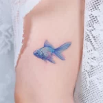Фото тату золотая рыбка 07,12,2021 - №302 - goldfish tattoo - tattoo-photo.ru