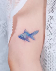 Фото тату золотая рыбка 07,12,2021 - №302 - goldfish tattoo - tattoo-photo.ru