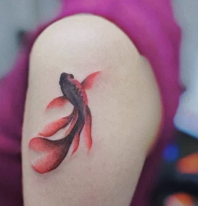 Фото тату золотая рыбка 07,12,2021 - №312 - goldfish tattoo - tattoo-photo.ru