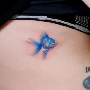 Фото тату золотая рыбка 07,12,2021 - №432 - goldfish tattoo - tattoo-photo.ru