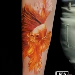 Фото тату золотая рыбка 07,12,2021 - №481 - goldfish tattoo - tattoo-photo.ru