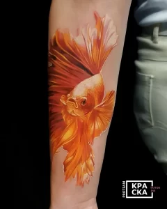 Фото тату золотая рыбка 07,12,2021 - №481 - goldfish tattoo - tattoo-photo.ru