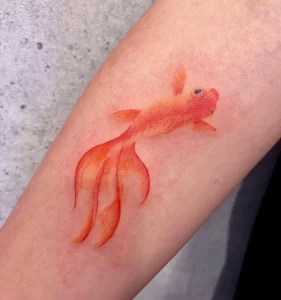 Фото тату золотая рыбка 07,12,2021 - №482 - goldfish tattoo - tattoo-photo.ru