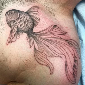 Фото тату золотая рыбка 07,12,2021 - №545 - goldfish tattoo - tattoo-photo.ru