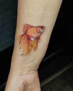 Фото тату золотая рыбка 07,12,2021 - №603 - goldfish tattoo - tattoo-photo.ru