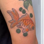 Фото тату золотая рыбка 07,12,2021 - №605 - goldfish tattoo - tattoo-photo.ru