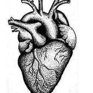 Фото эскиз тату сердце 02.01.22 №0004 - tattoo heart - tattoo-photo.ru