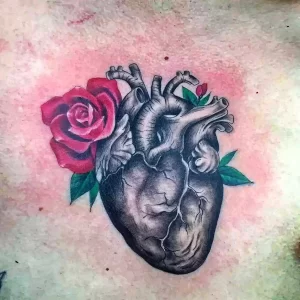 Фото рисунка тату сердце 02.01.22 №0101 - drawing tattoo heart - tattoo-photo.ru