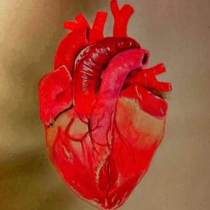 Фото рисунка тату сердце 02.01.22 №0614 - drawing tattoo heart - tattoo-photo.ru