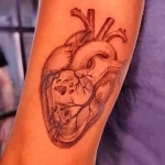 Фото рисунка тату сердце 02.01.22 №0790 - drawing tattoo heart - tattoo-photo.ru