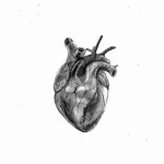 Фото рисунка тату сердце 02.01.22 №1235 - drawing tattoo heart - tattoo-photo.ru