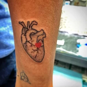Фото рисунка тату сердце 02.01.22 №1684 - drawing tattoo heart - tattoo-photo.ru