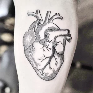 Фото сердце человека тату 02.01.22 №0006 - tattoo heart - tattoo-photo.ru