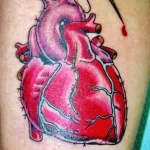 Фото сердце человека тату 02.01.22 №0007 - tattoo heart - tattoo-photo.ru