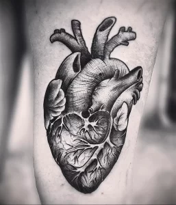 Фото сердце человека тату 02.01.22 №0013 - tattoo heart - tattoo-photo.ru