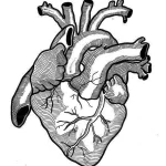 Фото эскиз тату сердце 02.01.22 №0002 - tattoo heart - tattoo-photo.ru
