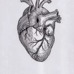 Фото эскиз тату сердце 02.01.22 №0011 - tattoo heart - tattoo-photo.ru