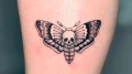 тату-бражник-пример-рисунка-тату-для-tattoo-photo-ru-9